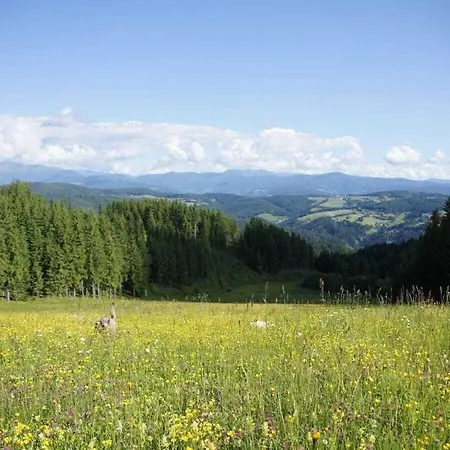 بيت للعطل 1-bedroom Zirkitz