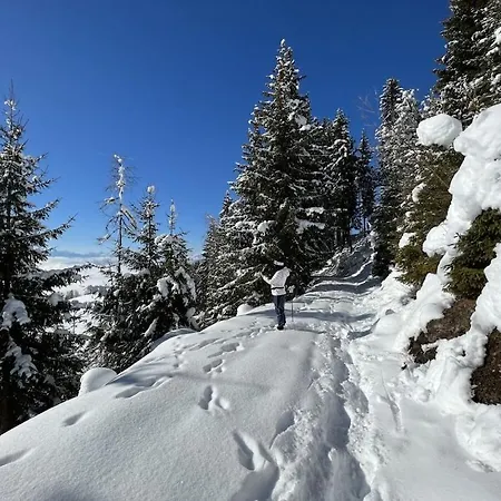 بيت للعطل 1-bedroom