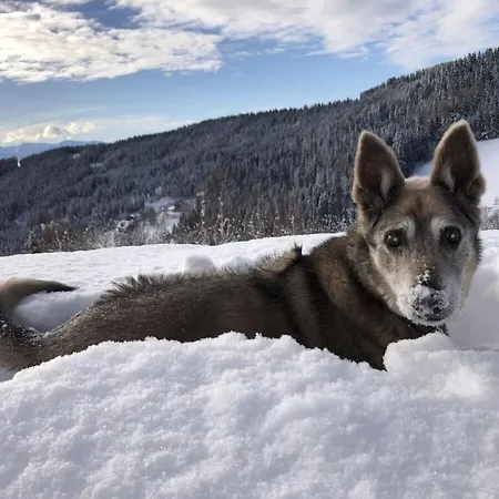 بيت للعطل 1-bedroom