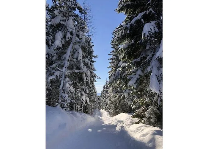 Vakantiehuis 1-bedroom