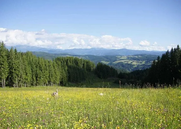 Vakantiehuis 1-bedroom Zirkitz