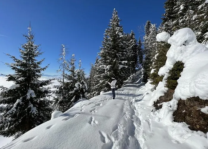 Vakantiehuis 1-bedroom