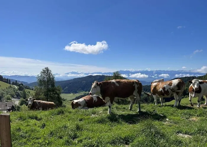 1-bedroom Vakantiehuis *