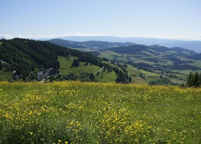 Vakantiehuis 1-bedroom Zirkitz