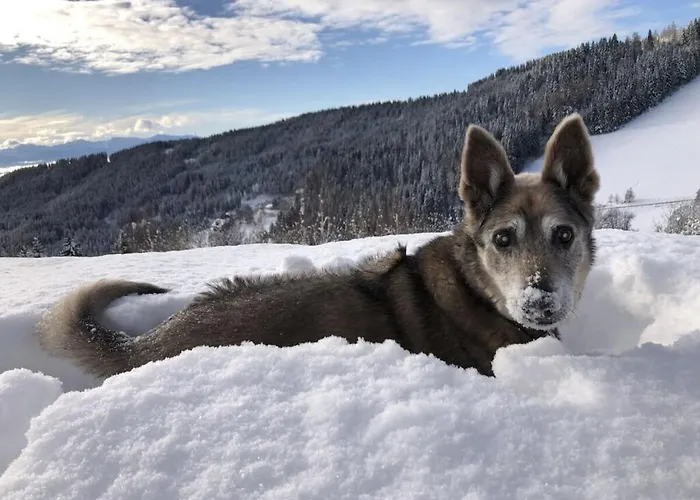 Vakantiehuis 1-bedroom