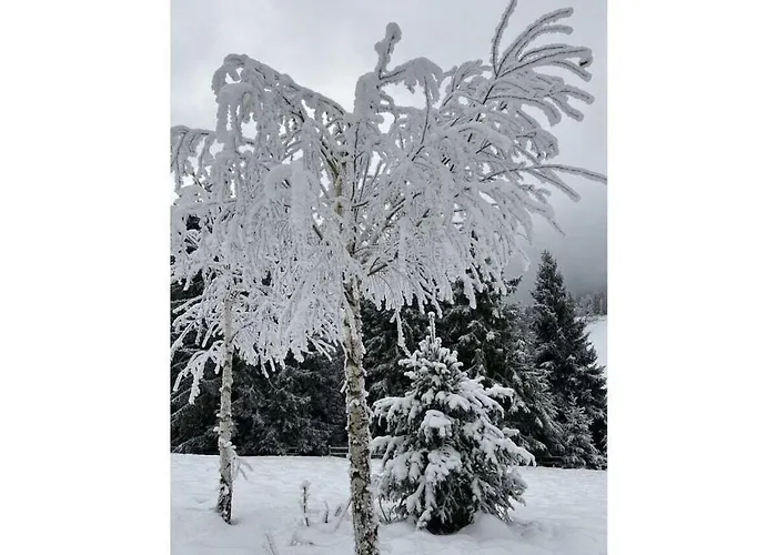 Vakantiehuis 1-bedroom *